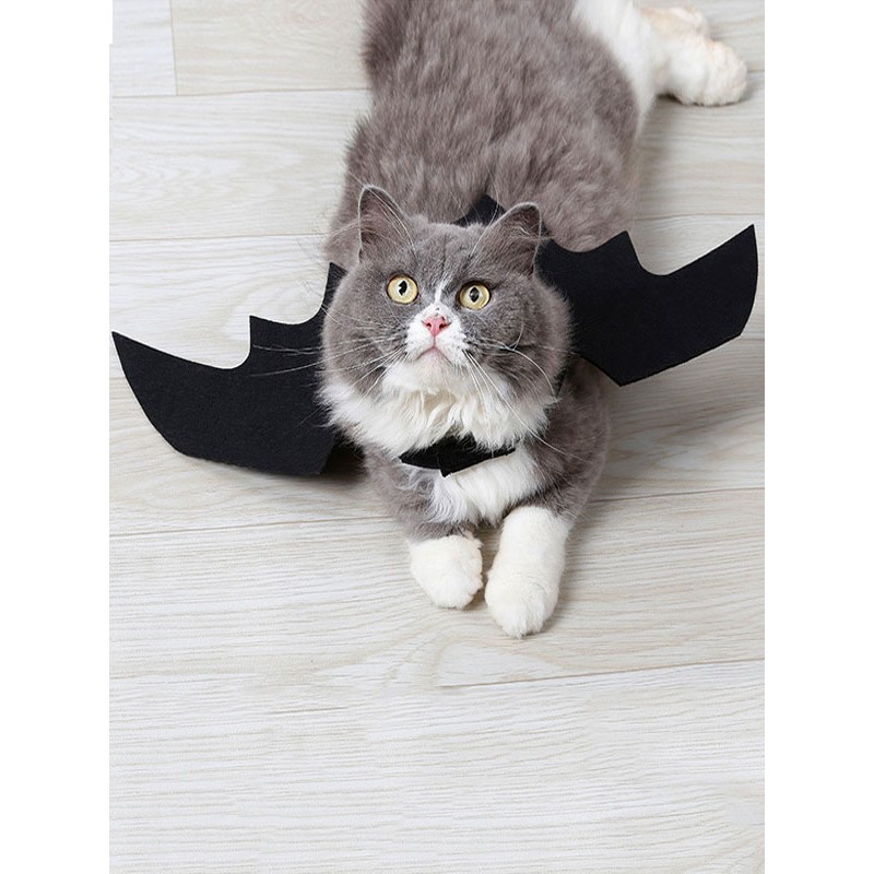 Animal Costume Evil Wings Polyester Black Cat Costume Halloween