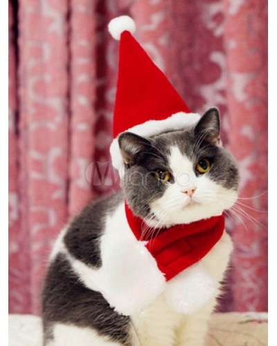 Halloween Cat Costume Santa Clause Pet Costumes With Hat And Scarf Halloween Christmas