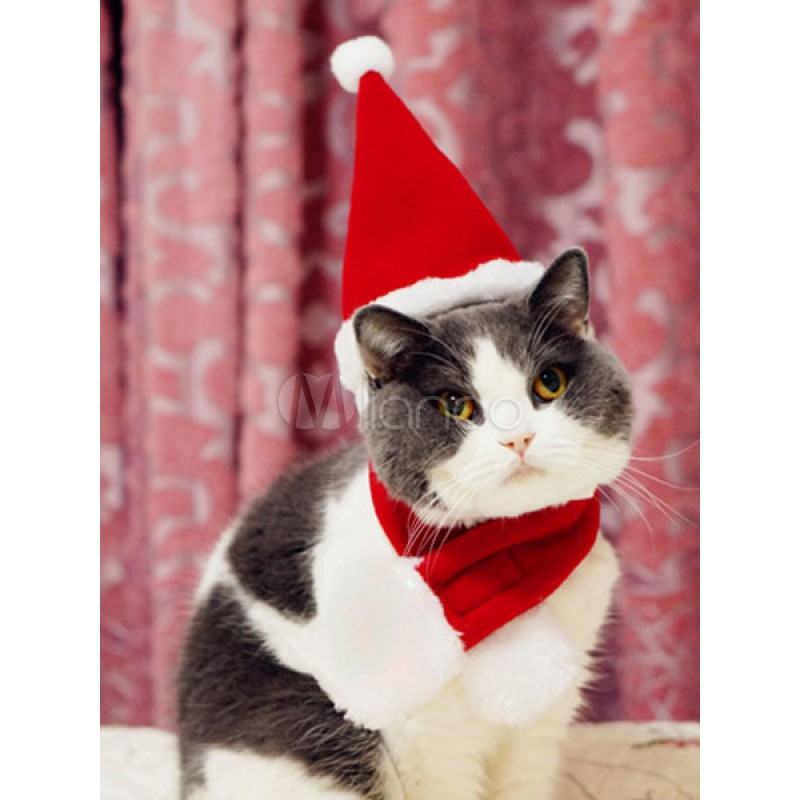 Halloween Cat Costume Santa Clause Pet Costumes With Hat And Scarf Halloween Christmas