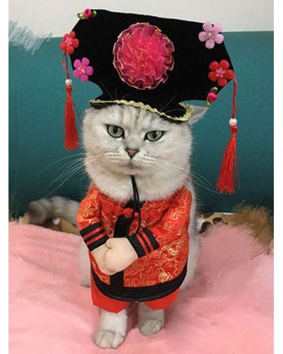 Cat Costume Satin Chinese Princess Theme Tassel Red Stand On Prank Costume In 2 Pieces Halloween Street Wear Night Out Indoor Performance