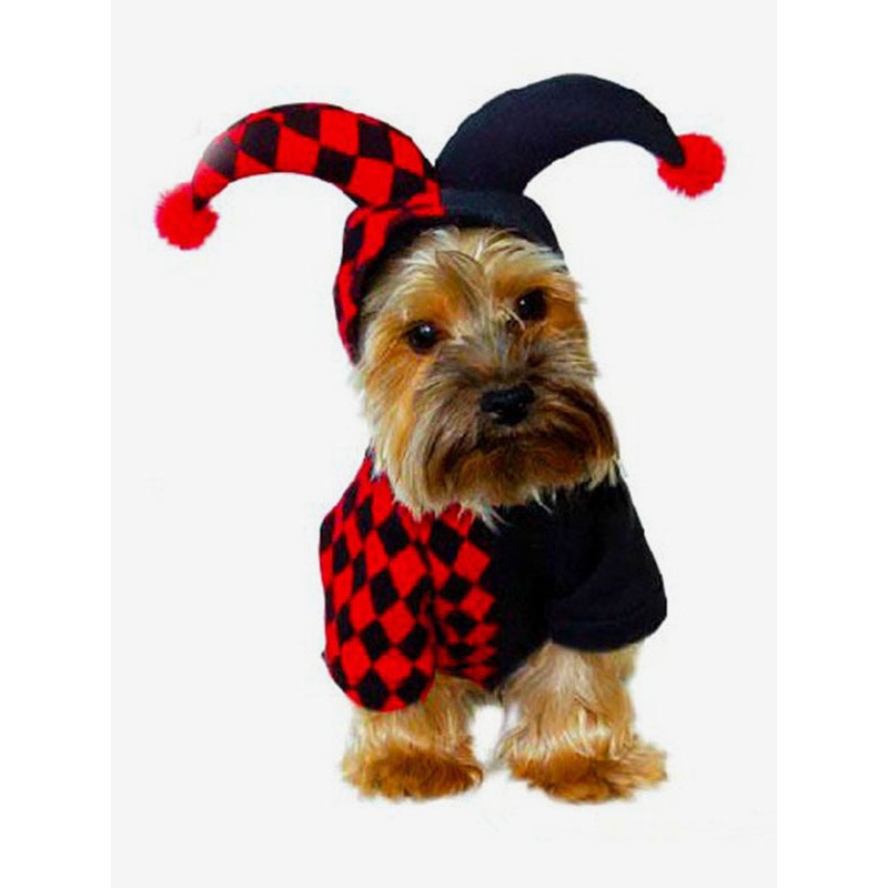 Pet Costume Clown Red Padded Winter Clothes Pet Supply Outdoor