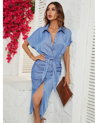 Women Dress Turndown Collar Buttons Baby Blue Medium Beach Dress Casual Spring Summer Fall