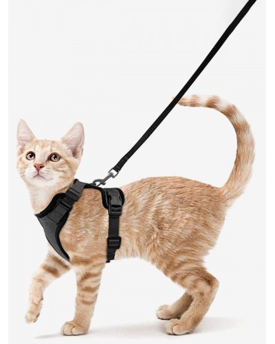 Pet Collar Traction Rope