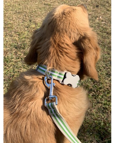 Pet Collar Traction Rope