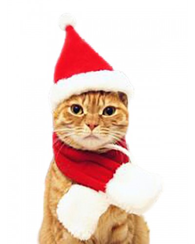 Pet Cat Costume Red Scarf Polyester Pet Supply Christmas